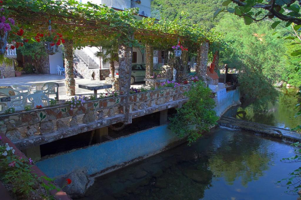 Radonjic Apartments Budva Eksteriør billede