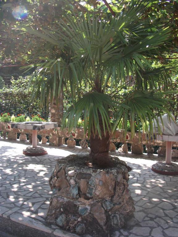 Radonjic Apartments Budva Eksteriør billede